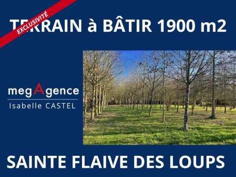 Vente de terrain Sainte-Flaive-des-Loups 85