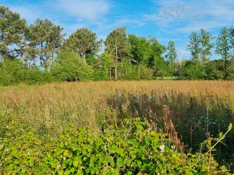 Vente de terrain Sainte-Foy 85