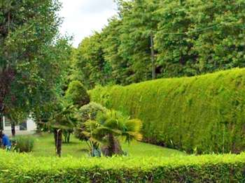Vente Terrain 500 m&sup2;Sainte-Foy
