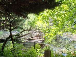 Vente Terrain 4142 m&sup2;Sainte-Foy