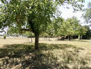 Vente Terrain 1000 m&sup2;Sainte-Gemme-la-Plaine