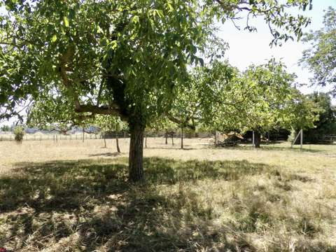 Vente de terrain Sainte-Gemme-la-Plaine 85