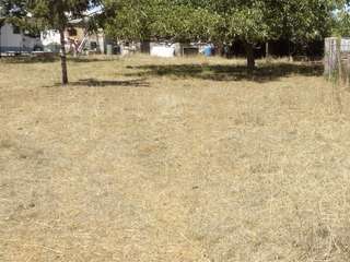 Vente de terrain