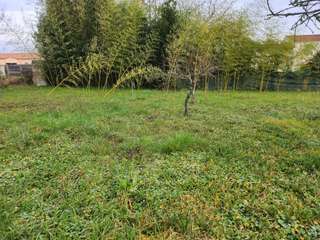 Vente de terrain