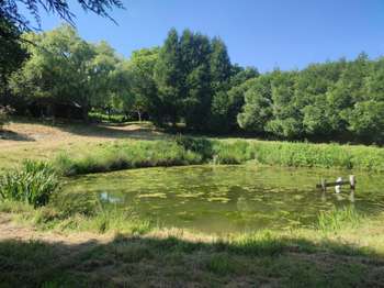 Vente Terrain 2393 m&sup2;Sainte-Gemmes-le-Robert