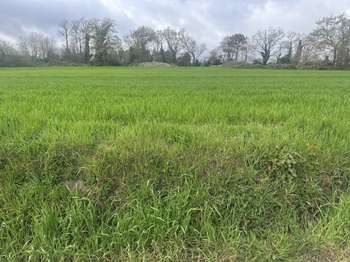 Vente de terrain Sainte-Hélène 56
