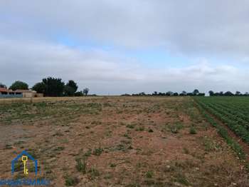 Vente de terrain Sainte-Hermine 85