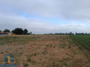 Vente Terrain 1251 m&sup2;Sainte-Hermine