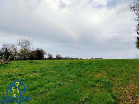 Vente de terrain