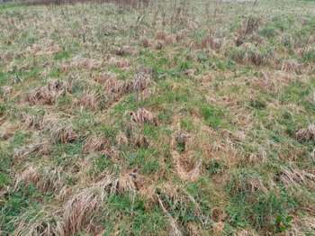 Photo Vente de terrain Sainte-Marguerite-sur-Fauville