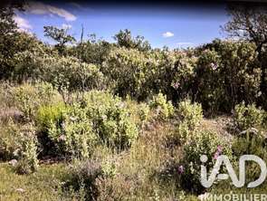 Vente Terrain 10077 m&sup2;Sainte-Maxime