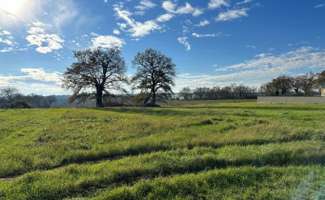 Photo Vente de terrain Sainte-Pazanne