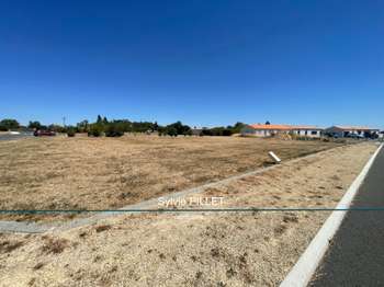Vente de terrain Sainte-Radégonde-des-Noyers 85