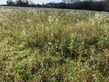 Vente Terrain 596 m&sup2;Sainte-Sève
