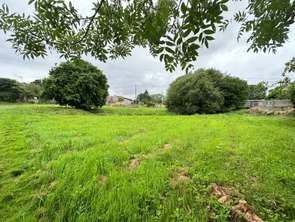 Vente Terrain 1994 m&sup2;Sainte-Verge