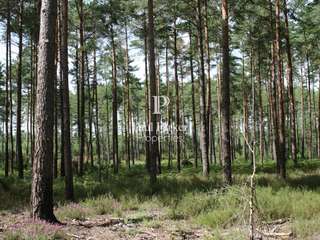 Vente de terrain 11 pièces