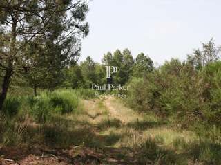 Vente de terrain 11 pièces