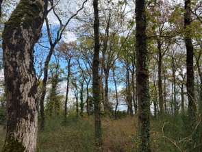 Vente Terrain 7300 m&sup2;Sallertaine