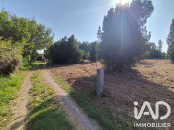 Vente Terrain 5260 m&sup2;Salses-le-Château