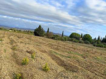 Vente Terrain 3990 m&sup2;Salses-le-Château