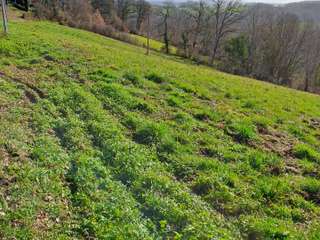 Vente de terrain