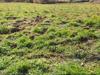 Vente de terrain