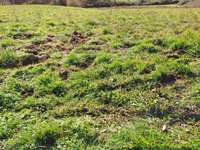 Vente de terrain