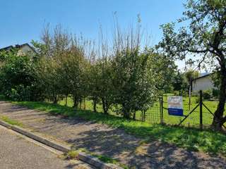Vente de terrain