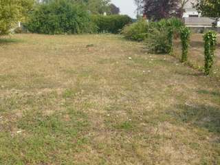 Vente de terrain
