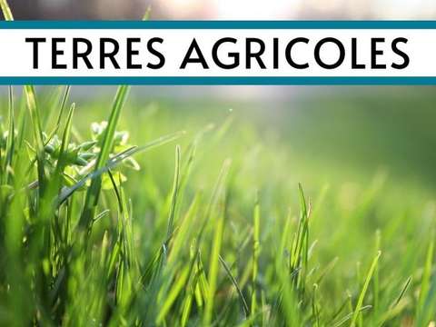 Vente de terrain Sartilly 50