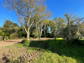 Vente Terrain 569 m&sup2;Sarzeau