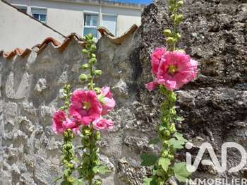 Vente Terrain 232 m&sup2;Saujon
