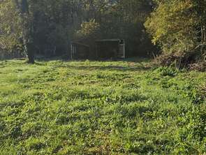 Vente Terrain 1170 m&sup2;Saujon