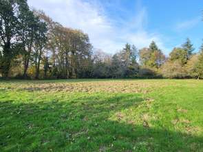Vente Terrain 5881 m&sup2;Sautron