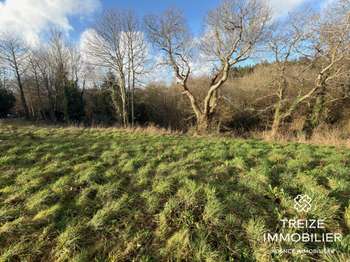 Vente Terrain 641 m&sup2;Savenay