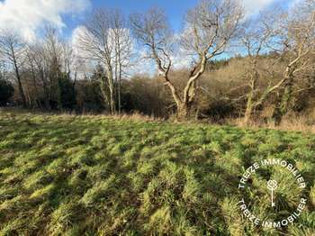 Vente de terrain Savenay 44