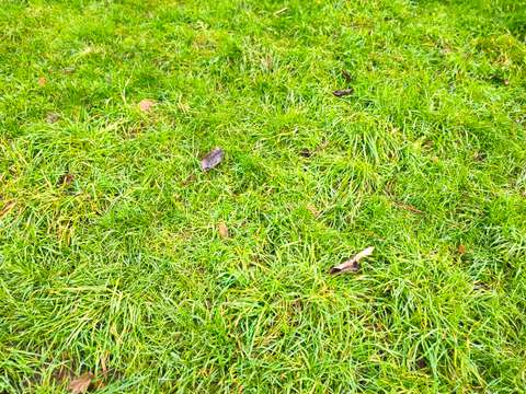 Vente de terrain Savenay 44