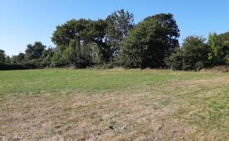 Photo Vente de terrain Savenay