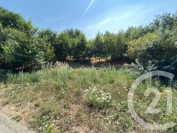 Vente Terrain 487 m&sup2;Savenay