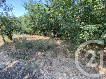 Vente de terrain