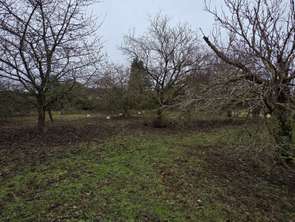Vente Terrain 614 m&sup2;Savigné-l'Évêque