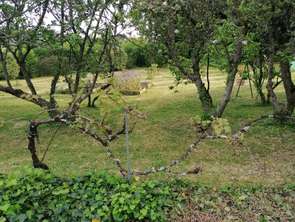 Vente Terrain 779 m&sup2;Séglien