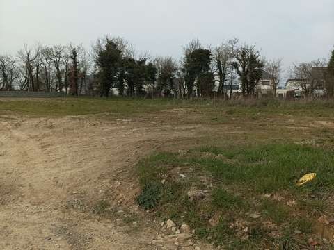 Vente de terrain Segré-en-Anjou-Bleu 49