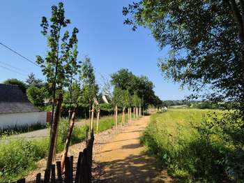 Vente de terrain