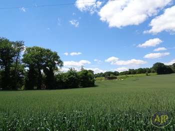 Vente de terrain