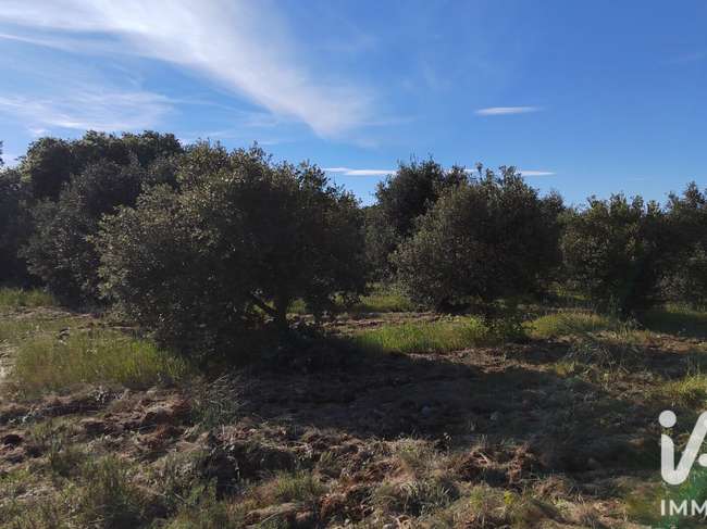Terrain 4300 m² · à Sérignan-du-Comtat · 4 300 m² · 28 000 €