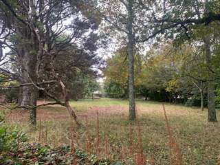 Vente de terrain