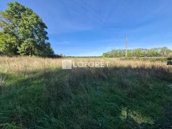 Vente Terrain 800 m&sup2;Seulline