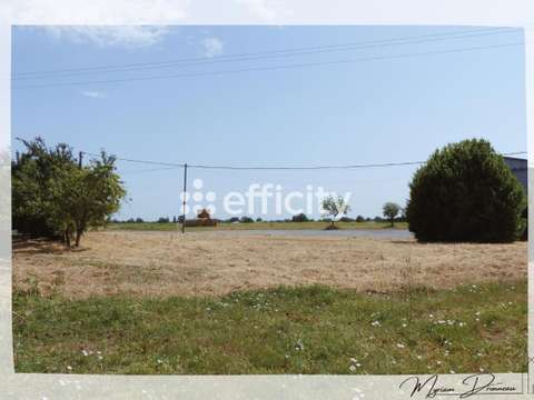 Vente de terrain Sèvremoine 49