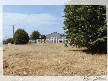 Vente de terrain